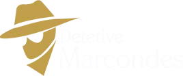 detetive particular 24h em santo andré e região